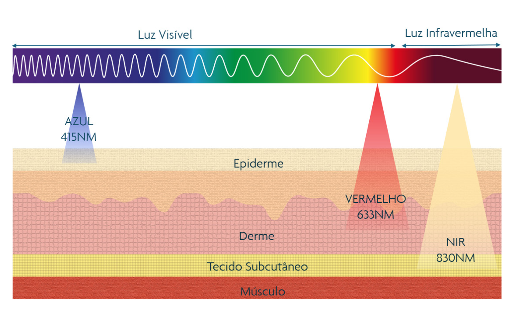 Captura de Tela 2026 04 14 as 13.45.58