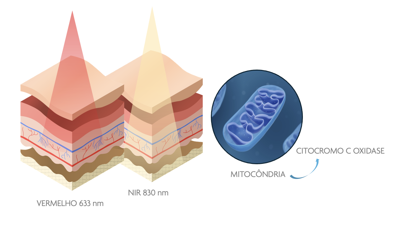 Captura de Tela 2026 04 14 as 14.26.48